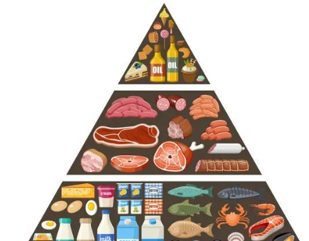 幼兒保育實(shí)訓(xùn)室膳食區(qū)作用